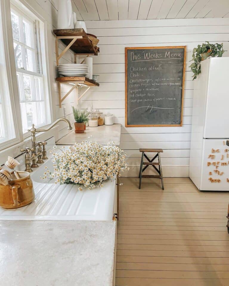 Shiplap Kitchen with Plants on Refrigerator